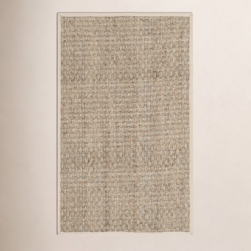 Dollard Natural Fiber Seagrass Rug, Rectangle 2' x 3'