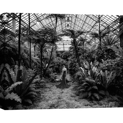 3AP6121 Unconventional Womenscape #2, Jardin D'Hiver (BW) by Julian Lauren - Wrapped Canvas Art Prints