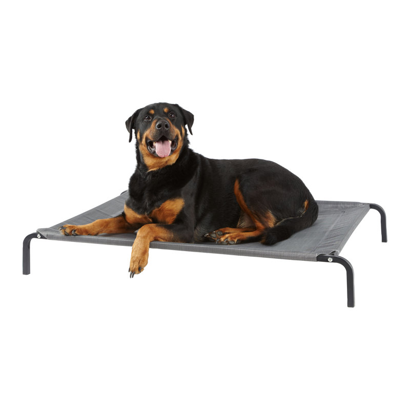 Ashly Coated Steenless Steel Pet Bed, Large (114cm W x 76cm D x 15cm H)