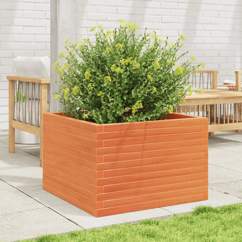 2 Wood Planter, 46cm H x 70cm W x 70cm D, Wax brown