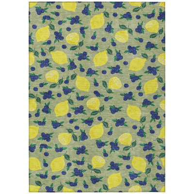 Machine Washable Indoor/Outdoor Bourkelands ACN2354 Fruits Rug