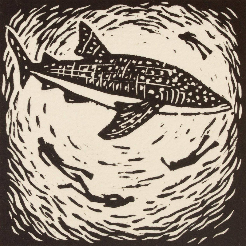 Suspension murale requin de baleine
