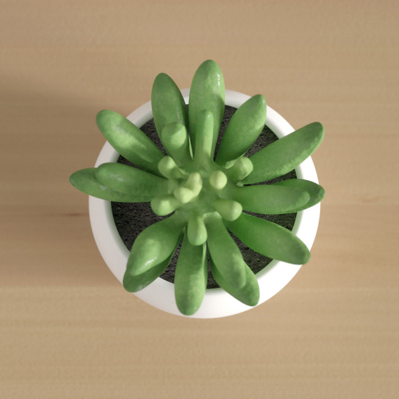 3'' Faux Succulent Plant in Ceramic Pot