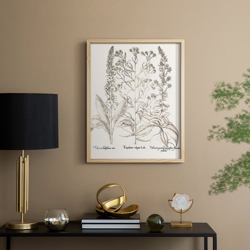 Sépia Besler Botanicals, reproduction d'art encadrée - bois massif, H 11 po x l 9 po