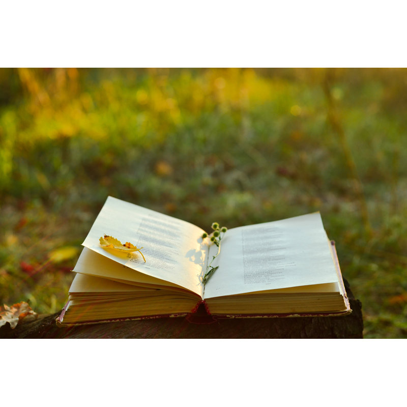 Vintage Book by Finwal - Wrapped Canvas Print, 20cm H x 30cm W