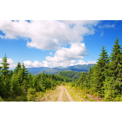 " Mountains With Pine Trees " by Alter_Photo