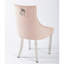 Montford Chairs Velvet Full Back Side Chair-2131771133