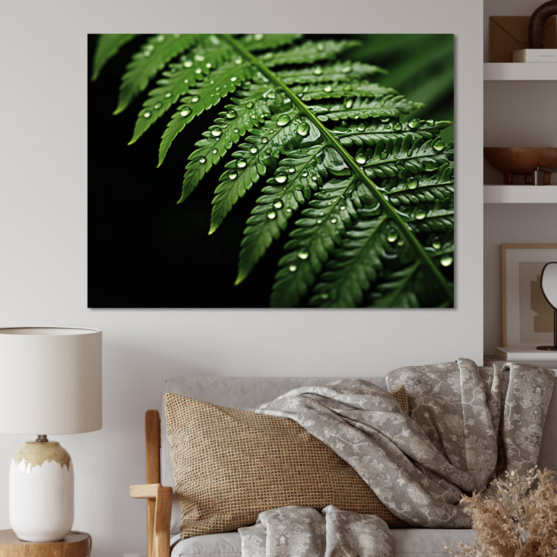Ferns Serene Resilience - Imprimé, H 16 po x l 32 po x P 1 po, Toile tendue