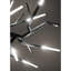 Lustre Acropora à branches claires-130734884-90566475-90566492