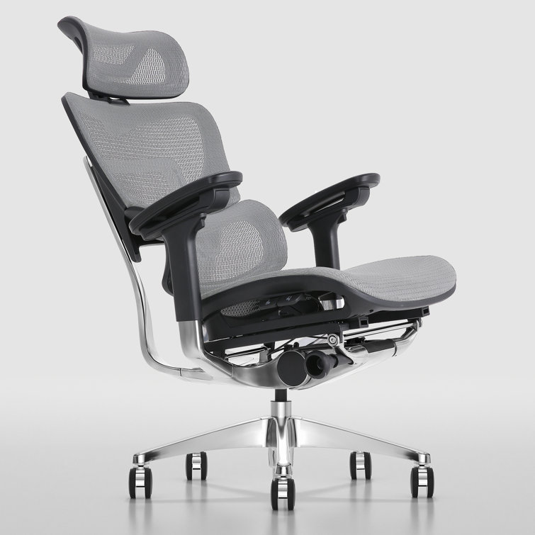 https://assets.wfcdn.com/im/45340059/resize-h755-w755%5Ecompr-r85/2366/236651609/Ergonomic+Office+Chair+with+Headrest+High+Back+Business+Mesh+Task+Chair.jpg