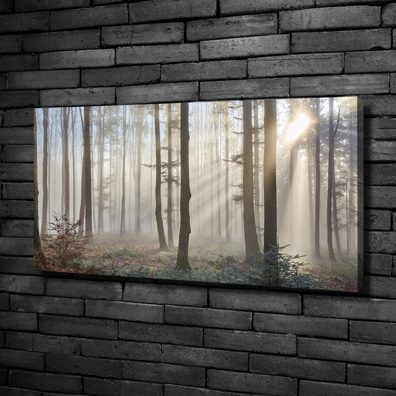 Fog In The Forest - Print, 50cm H x 100cm W x 2cm D, Canvas