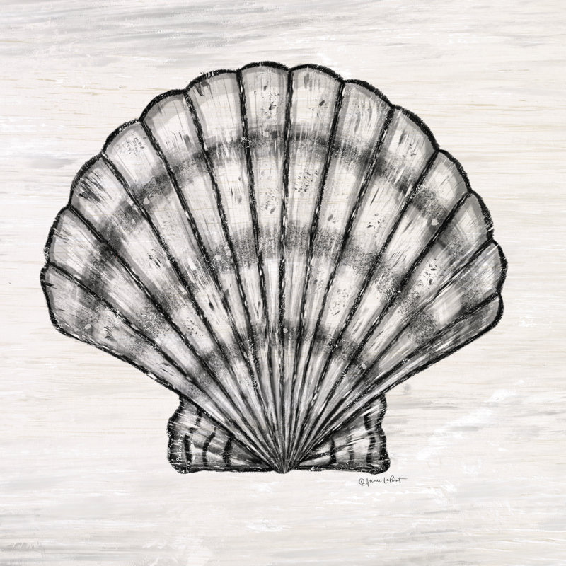 «Hedwige Scallop Shell on Canvas» par Annie Lapoint, reproduction, H 36 po x l 36 po