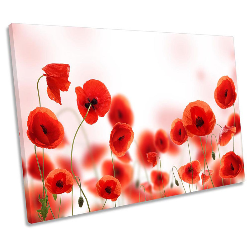 Red Poppy Poppies Flowers - Wrapped Canvas Print, 40.6cm H x 61cm W