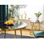 Aveza Coffee Table