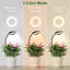 Naomi Grow Light