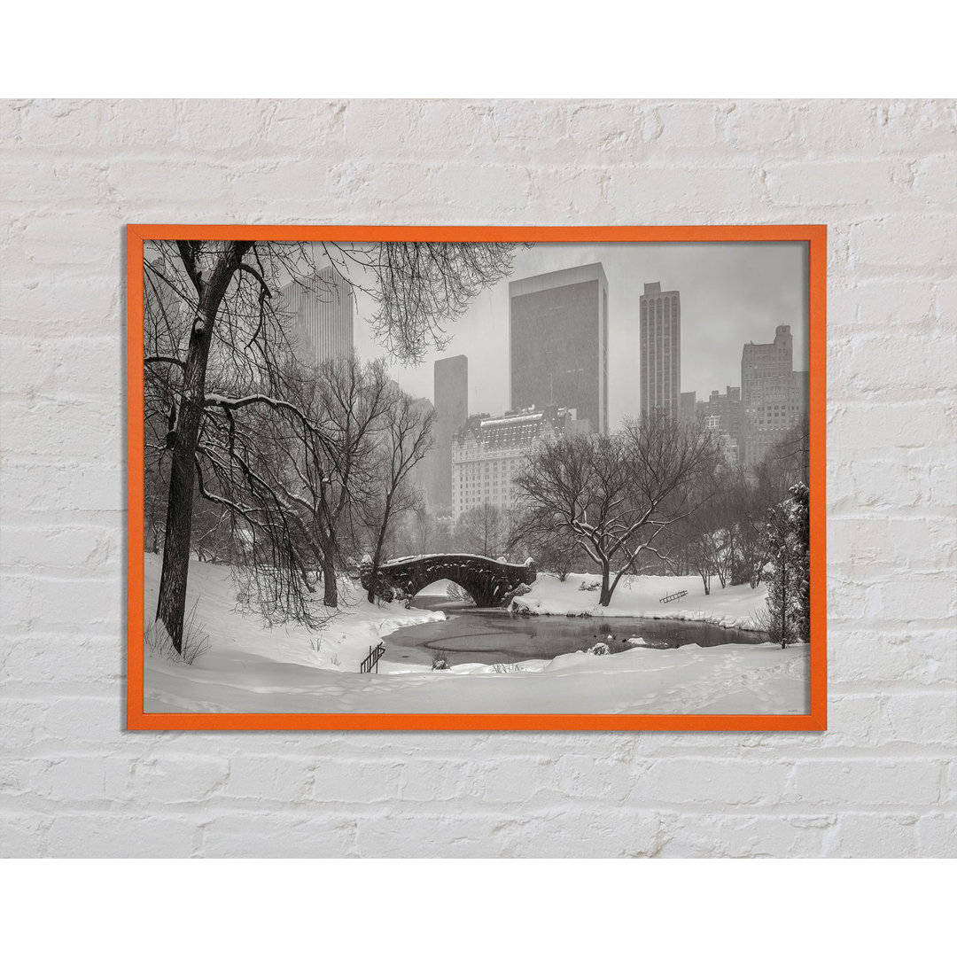 Carrieann Winter Snow In Central Park - Druck