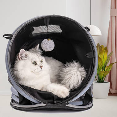 VIEW 360 Pet Carrier & Car Seat For Dogs and Cats Floral » Pampered Paw  Gifts