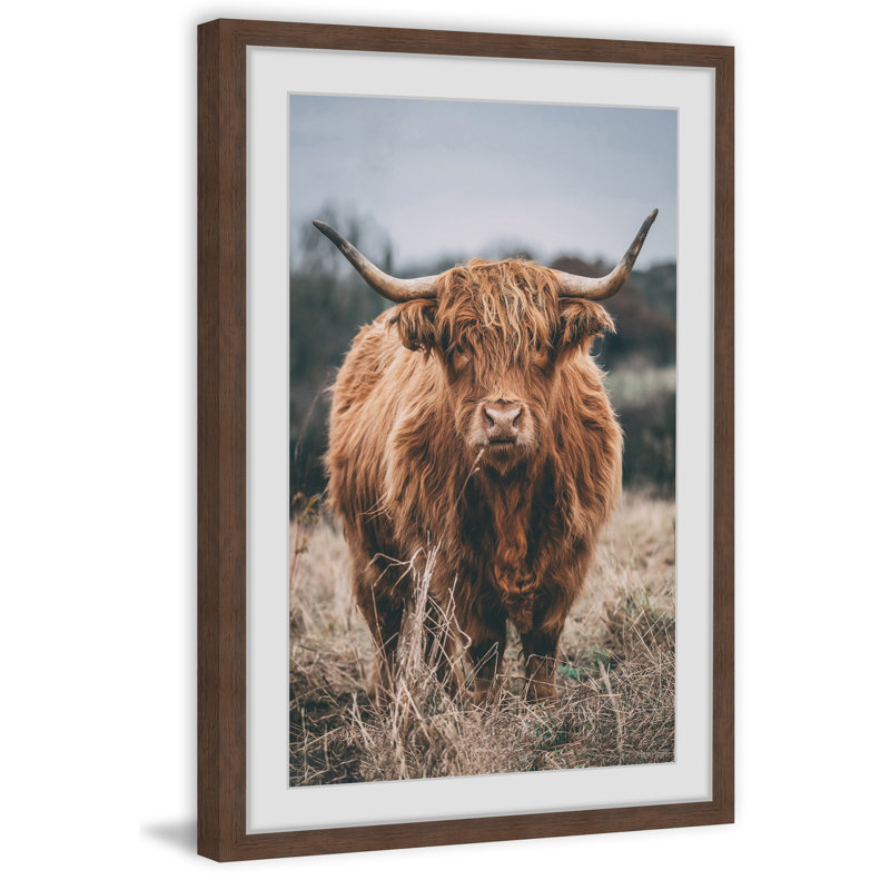 Hairy Coos - Print, Brown Framed Paper, 30cm H x 30cm W x 3.81cm D
