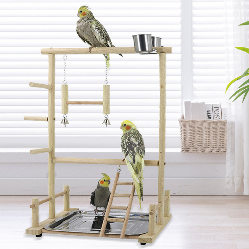One-of-a-Kind 22.4'' Wood Bird Play Stand for Table Top