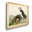Macareux moine - reproduction d'art sur toile-1808881374-1808881373