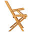 Luciani Solid Wood Patio Folding Chair Folding Chair Set