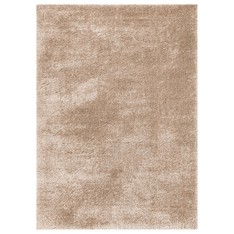 Cestar Shag Indoor / Outdoor Area Rug, Rectangle 120 x 170 cm