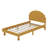 Twin Size Cookie-Shaped  Platform Bed