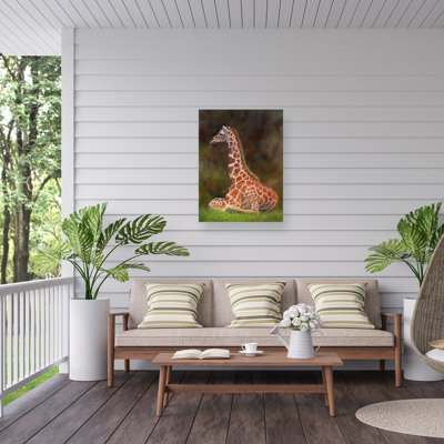 Toile d'extérieur David Stribble Giraffe