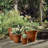 Pot Planter-85475370-85475363