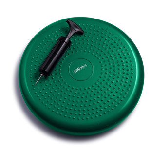 Bintiva Seat Cushion