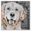 « love golden retriever », impression sur toile tendue-16375998-66813065