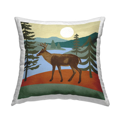 Abstract Outdoor Throw Pillow
