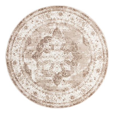 Coblitz Oriental Indoor Rug