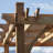 10 ft. W x 12 ft. D Breeze Solid Cedar Wood Pergola-90582536-90582537
