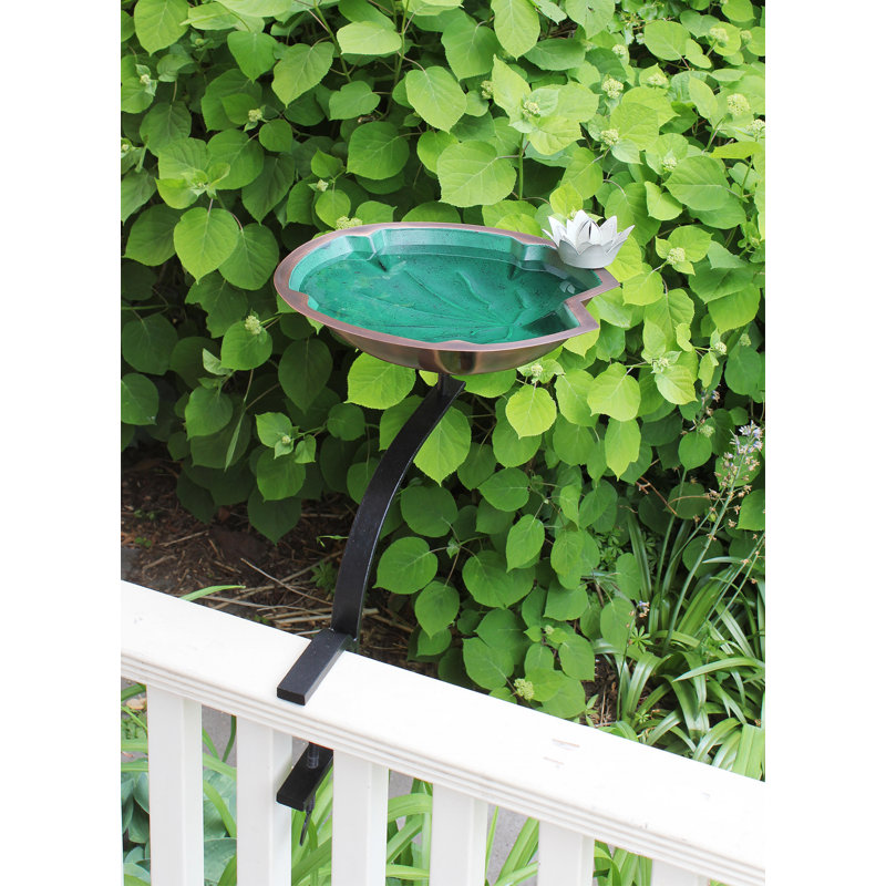 Lilypad Birdbath with Rail Mount Bracket