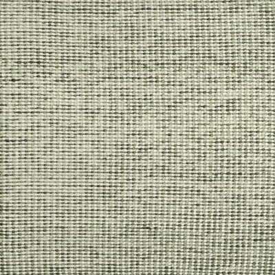 Indoor Rug