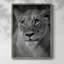 Portrait de lionne, reproduction encadrée - bois massif-306390199