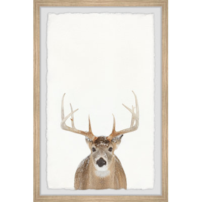 Winter Deer - Single Picture Frame Print