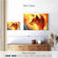 Renard de feu Brampt-108818339