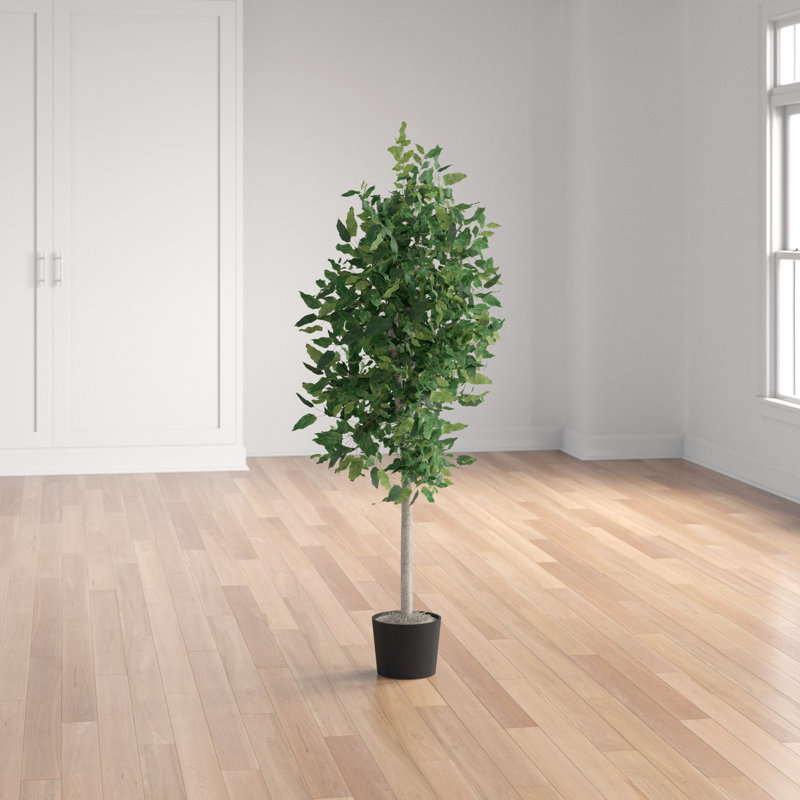 Arbre de luxe en pot