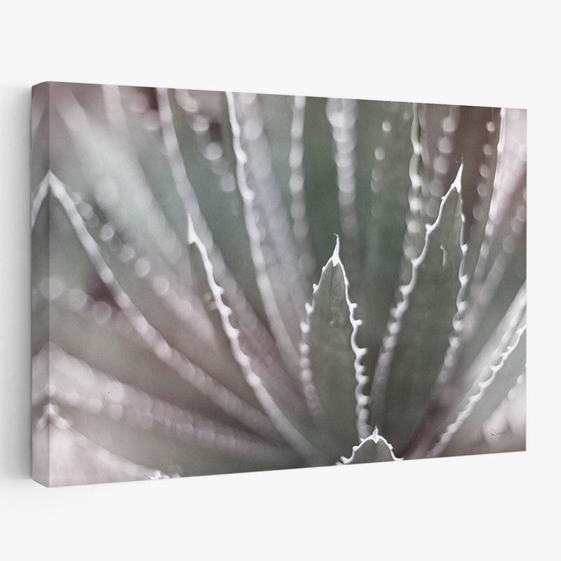 Cacti Cactus Leaf - Dream Desert II BWC, 16" H x 24" W