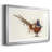 " Pheasant Splash 7 "-547733684-547733688