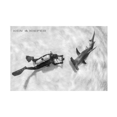 Ken Kiefer Eye To Eye Canvas Art