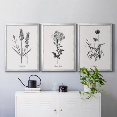 " Simply Imperial " 3 - Pieces