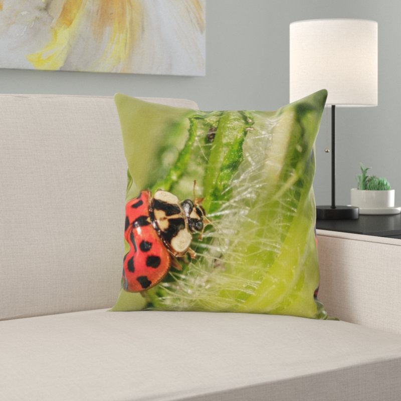 Coussin coccinelle