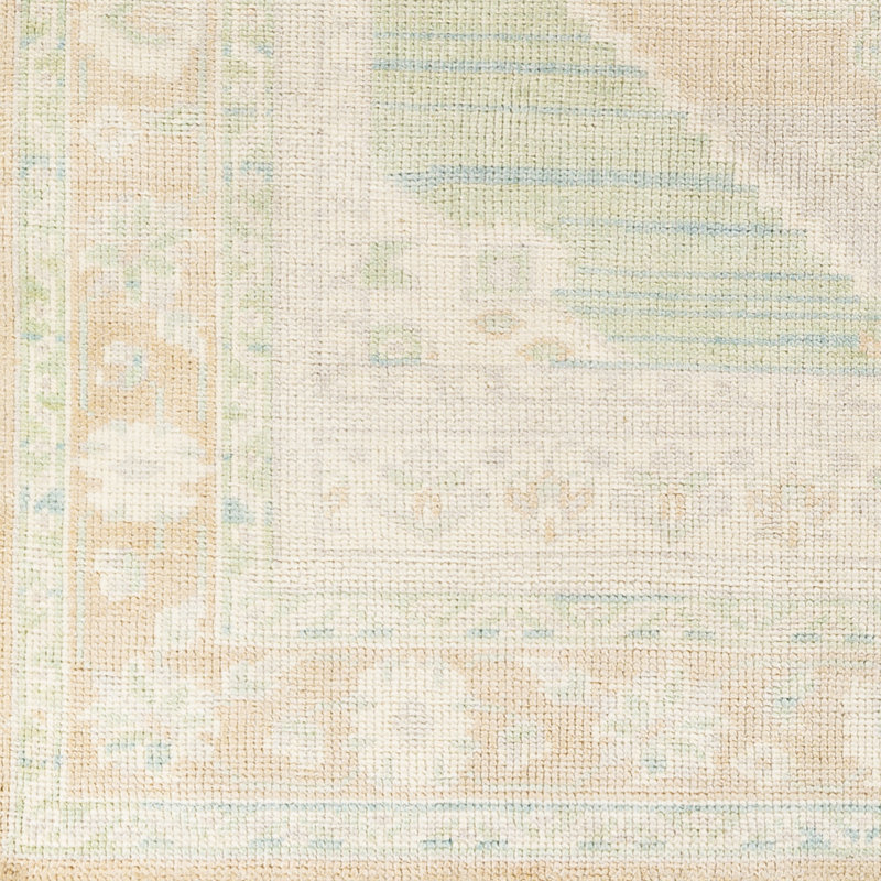 Aydann Oriental Indoor Rug, Rectangle 2' x 3'
