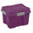 Purple is out of stock