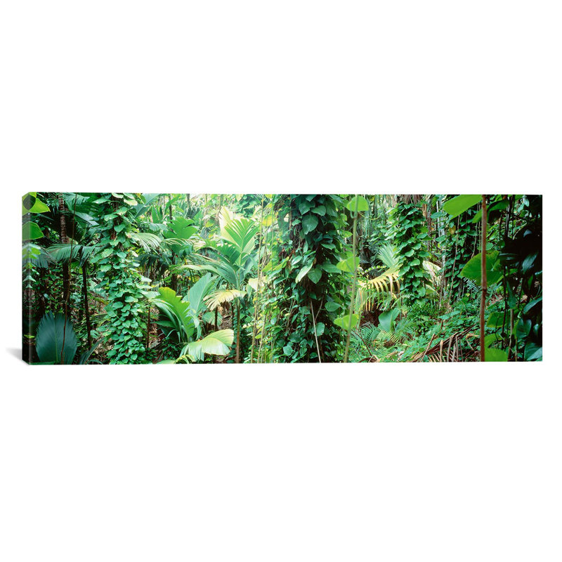 Des seychelles de végétation panoramique, reproduction de photo sur toile, H 24 po x l 72 po x P 1,5 po, Toile tendue