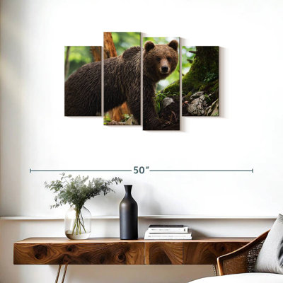 Ours grizzly humide Brampt