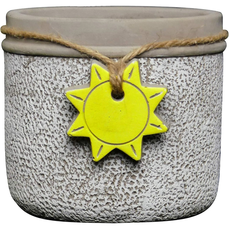 Royersford Pot Planter